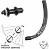 Dt-swiss Schwarzes 29 Zoll Hinteres Rad DT Swiss HX 491 Mit Shimano Alivio FH-M4050 Centerlock