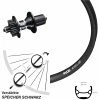 Ryde Andra 321 Disc Hinterrad 26 Zoll Mit DT Swiss 350 Hybrid Schnellspanner Nabe