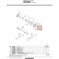 Shimano Konus Rechts M25 Für HB-M667